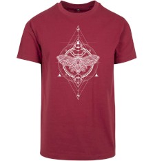 Damski T-shirt z grafiką: róża wiatrów i ćma