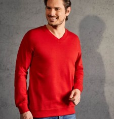 Męska bluza V