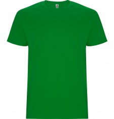 Gruby męski T-shirt Stafford (rozmiary: 3XL, 4XL, 5XL)