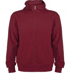 Męska bluza Mont Blanc z kapturem na zamek