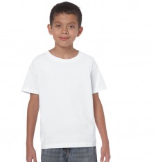 HEAVY COTTON CLASSIC FIT YOUTH T-SHIRT 5000B 161