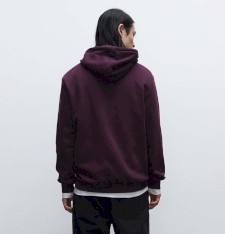 Bluza męska z kapturem Regular