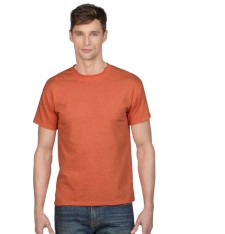 HEAVY COTTON CLASSIC FIT ADULT T-SHIRT 5000 159