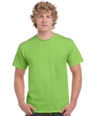 HEAVY COTTON CLASSIC FIT ADULT T-SHIRT 5000 159