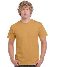 HEAVY COTTON CLASSIC FIT ADULT T-SHIRT 5000 159