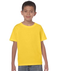 HEAVY COTTON CLASSIC FIT YOUTH T-SHIRT 5000B 161