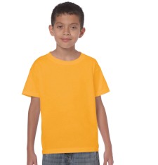 HEAVY COTTON CLASSIC FIT YOUTH T-SHIRT 5000B 161