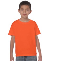 HEAVY COTTON CLASSIC FIT YOUTH T-SHIRT 5000B 161