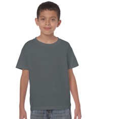 HEAVY COTTON CLASSIC FIT YOUTH T-SHIRT 5000B 161