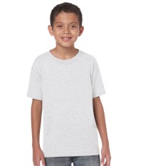 HEAVY COTTON CLASSIC FIT YOUTH T-SHIRT 5000B 161