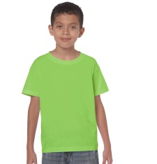 HEAVY COTTON CLASSIC FIT YOUTH T-SHIRT 5000B 161