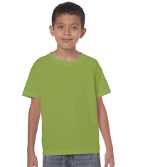 HEAVY COTTON CLASSIC FIT YOUTH T-SHIRT 5000B 161