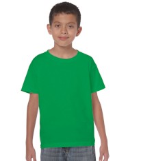 HEAVY COTTON CLASSIC FIT YOUTH T-SHIRT 5000B 161