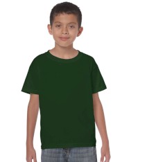HEAVY COTTON CLASSIC FIT YOUTH T-SHIRT 5000B 161