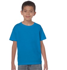 HEAVY COTTON CLASSIC FIT YOUTH T-SHIRT 5000B 161