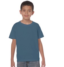 HEAVY COTTON CLASSIC FIT YOUTH T-SHIRT 5000B 161