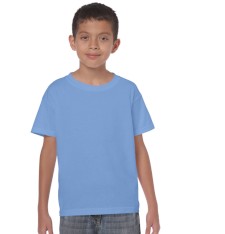 HEAVY COTTON CLASSIC FIT YOUTH T-SHIRT 5000B 161