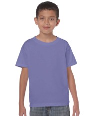 HEAVY COTTON CLASSIC FIT YOUTH T-SHIRT 5000B 161