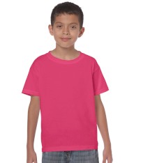 HEAVY COTTON CLASSIC FIT YOUTH T-SHIRT 5000B 161
