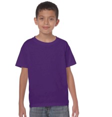 HEAVY COTTON CLASSIC FIT YOUTH T-SHIRT 5000B 161