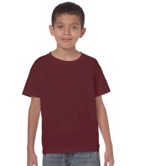 HEAVY COTTON CLASSIC FIT YOUTH T-SHIRT 5000B 161