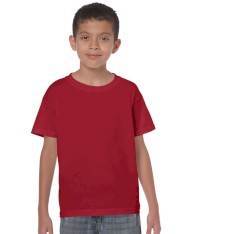 HEAVY COTTON CLASSIC FIT YOUTH T-SHIRT 5000B 161