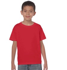 HEAVY COTTON CLASSIC FIT YOUTH T-SHIRT 5000B 161
