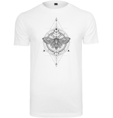 LADIES MOTH TEE MT1036 [MTXXX] D54