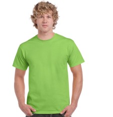 ULTRA COTTON™ ADULT T-SHIRT 2000 145