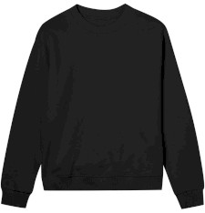 WOMENS REGULAR SWEATSHIRT 1148351 E97
