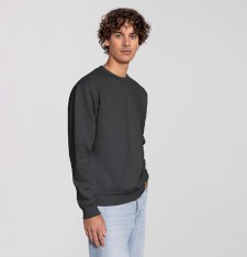 Bluza bez kaptura Iconic Premium (rozmiary: 3XL, 4XL) 70/30 CiCLO®