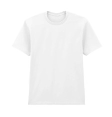 SOFTSTYLE MIDWEIGHT ADULT NO LABEL ENZYME WASH T-S 65ENLB0 G02