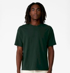 UNISEX HEAVYWEIGHT TEE 3010 G34