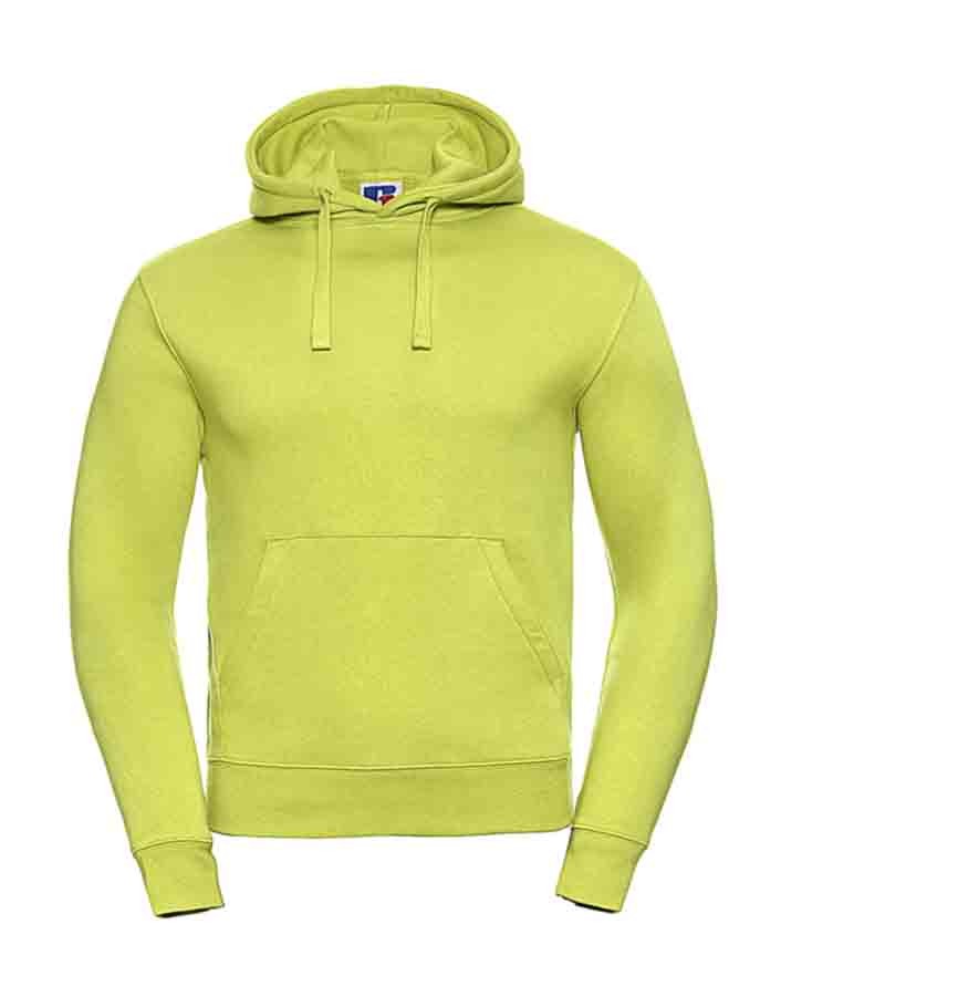 AUTHENTIC HOODED SWEAT R-265M-0 029