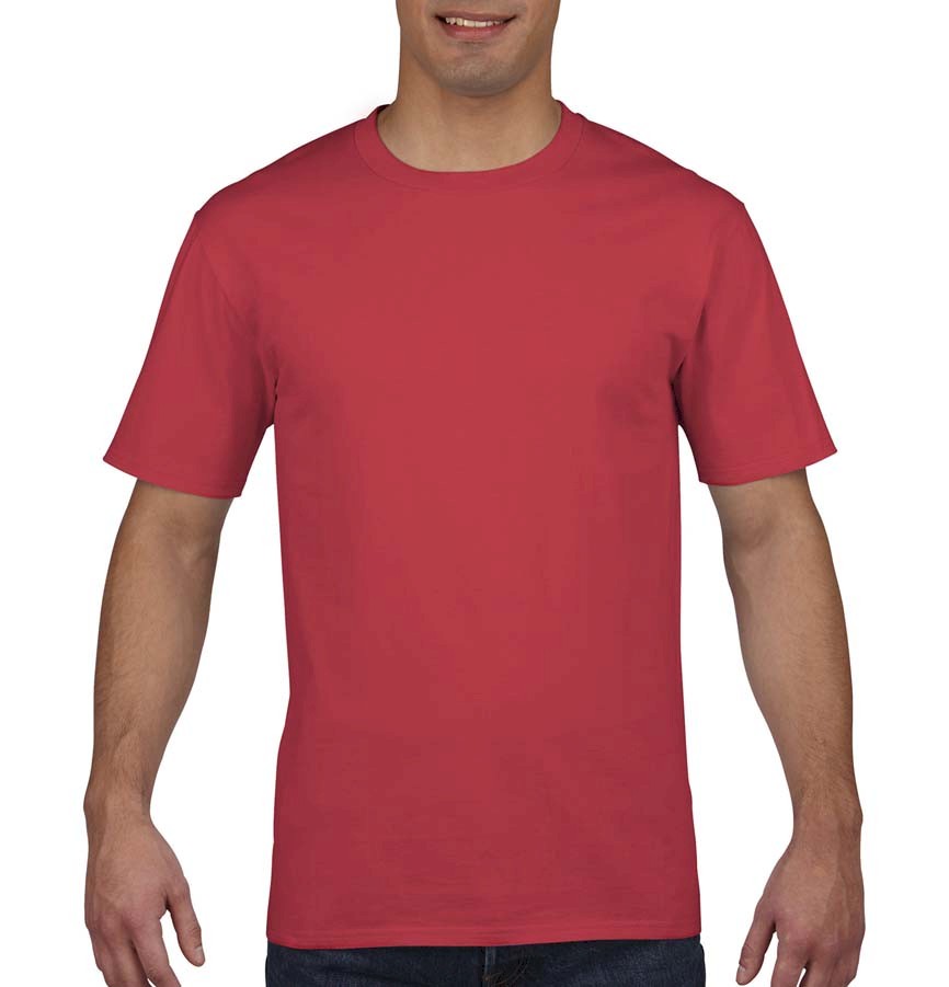 PREMIUM COTTON ADULT T-SHIRT 4100 814