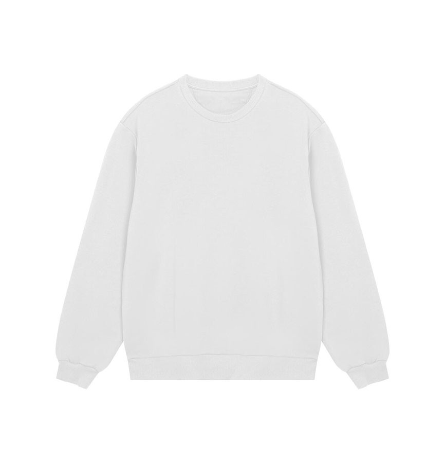 MENS REGULAR SWEATSHIRT 1148376 E96