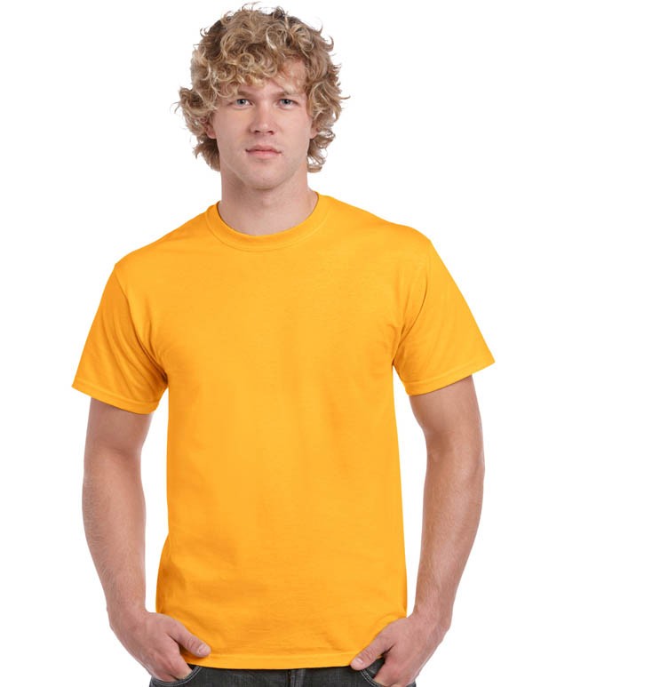 HEAVY COTTON CLASSIC FIT ADULT T-SHIRT 5000 159