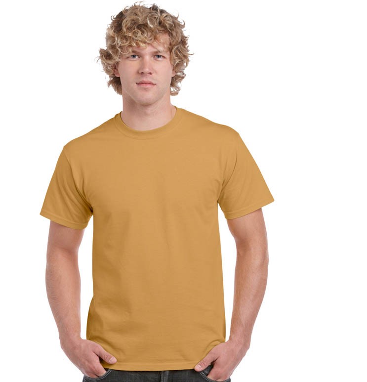 HEAVY COTTON CLASSIC FIT ADULT T-SHIRT 5000 159