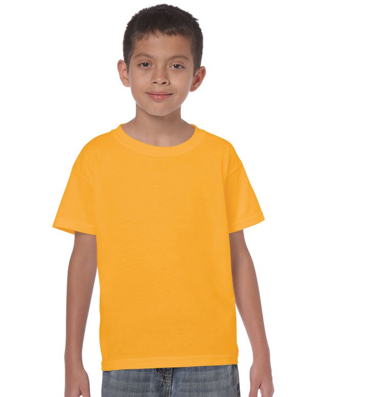 HEAVY COTTON CLASSIC FIT YOUTH T-SHIRT 5000B 161