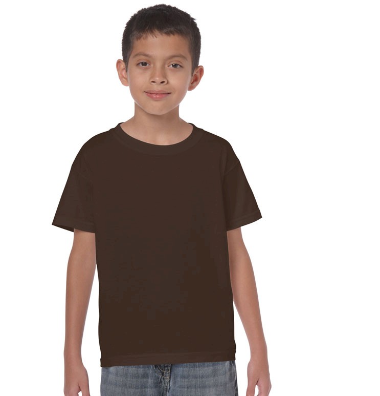 HEAVY COTTON CLASSIC FIT YOUTH T-SHIRT 5000B 161