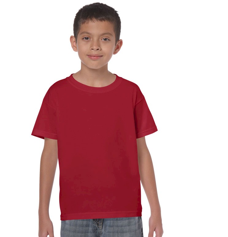 HEAVY COTTON CLASSIC FIT YOUTH T-SHIRT 5000B 161
