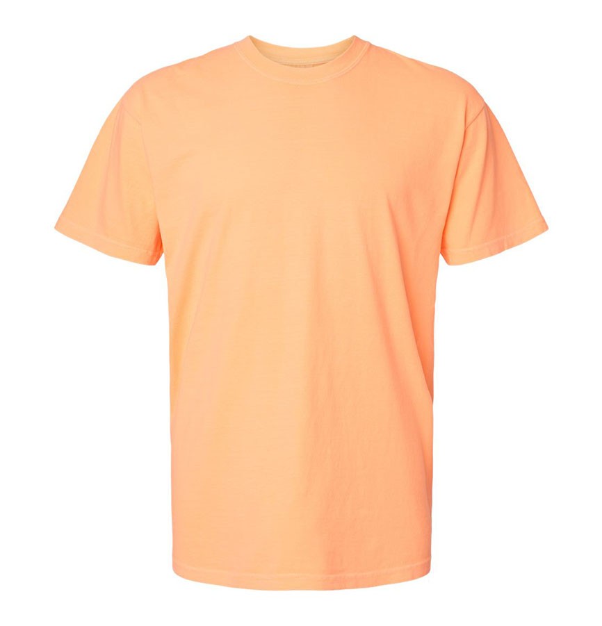 HEAVYWEIGHT ADULT TEE 1717 G83 HEAVYWEIGHT ADULT TEE 1717 G83